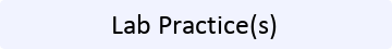 Lab Practice Button